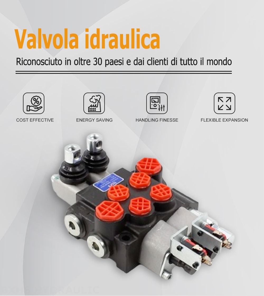 P40 Micro Switch Manuale 2 Spool Valvola direzionale monoblocco